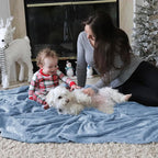 Bedsure GentleSoft Fleece Throw Blanket for Couch Light Blue - Lightweight Plush Fuzzy Cozy Soft Blankets and Throws for Sofa, 50x60 inches