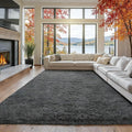 5x7 Area Rug Fluffy Shaggy Ultra Soft Faux Fur Non-Slip Machine Washable Carpet for Bedroom, Living Room, Nursery & Dorm Cozy Home Decor