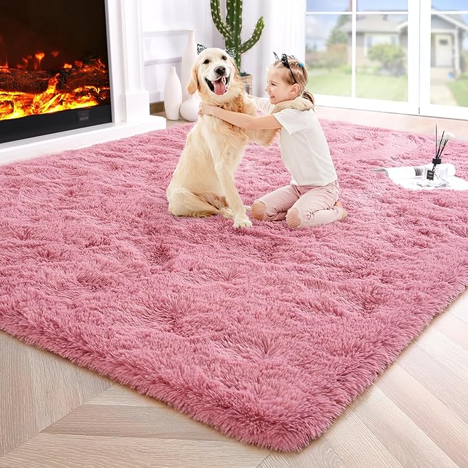 Noahas Fluffy 4x6 Blush Rugs for Bedroom Girls,Shaggy Kids Rug,Thick Shag Throw Carpet,Soft Non-Slip Dorm Nursery Area Rugs for Living Room Home Decor Aesthetic