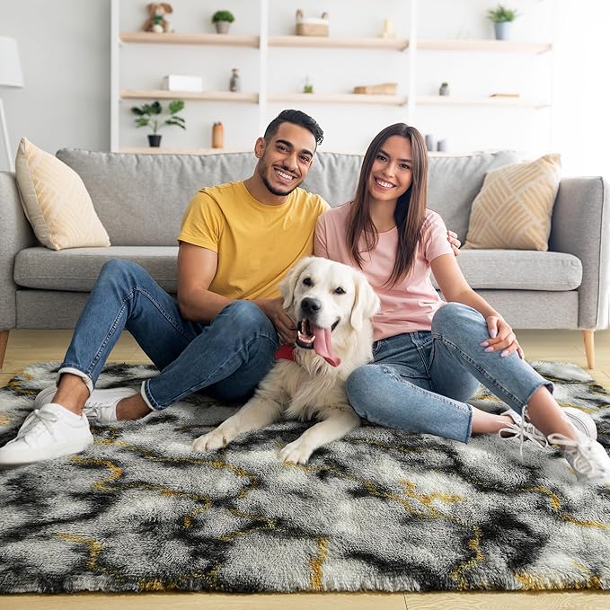 Noahas Fluffy 4x6 Area Rugs for Bedroom Living Room,Thick Shag Grey and Gold Throw Floor Carpet,Soft Shaggy Bedside Non-Slip Plush Dorm Nursery Kids Rug