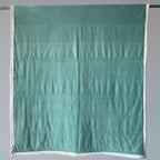 Sherpa Double-Sided Blankets, Plush & Cuddly Throw, Extra-Plush Thermal Fleece Blanket for Sofa/Couch/Bedding, Super Soft Living Room Blanket with Anti-Pilling (Green, 60×80)