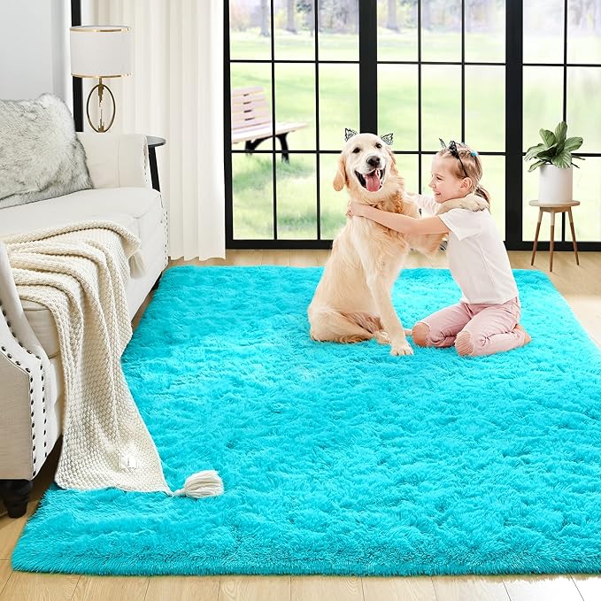 Noahas Fluffy Bedroom Rug,3x5 Feet Plush Fuzzy Teal Blue Area Rugs for Living Room, Non Slip Thick Soft Shaggy Nursery Furry Floor Dorm Kids Carpet