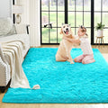 Noahas Fluffy Bedroom Rug,3x5 Feet Plush Fuzzy Teal Blue Area Rugs for Living Room, Non Slip Thick Soft Shaggy Nursery Furry Floor Dorm Kids Carpet