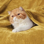 Bedsure GentleSoft Fleece Throw XL Blanket Yellow - 300GSM Soft Lightweight Plush Cozy Blankets for Bed, Sofa, Couch, Travel, Camping, 50x70 inches