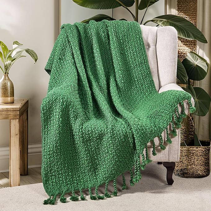 Home Soft Things Chunky Knit Basket Weave Throw Blanket 50"x60" - Boho Soft Microfiber with Braided Tassels - All Season Cozy Decorative Throw for Couch, Sofa, Bed, Indoor & Outdoor - Eden Green