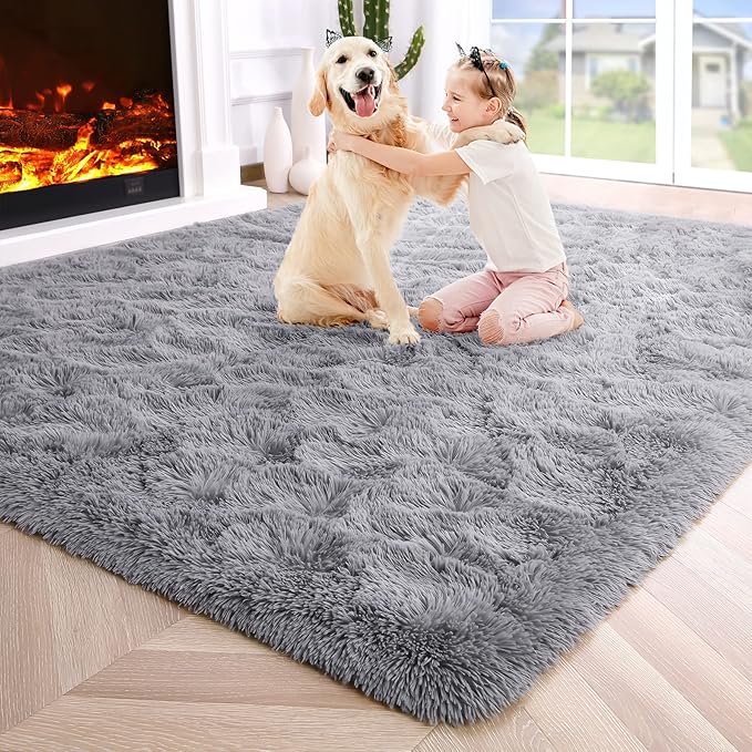 Noahas Fluffy Grey 4x6 Area Rugs for Bedroom Living Room,Thick Shag Throw Floor Carpet,Soft Shaggy Bedside Non-Slip Plush Dorm Nursery Kids Rug