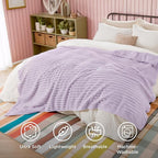Bedsure GentleSoft Lavender Fog Full Blanket for Bed - Cozy Soft Blankets for Women, Cute Large Throws for Girls, 84x90 Inches