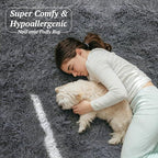 4x6 Area Rugs for Living Room Bedroom, Soft Fluffy Shaggy Bedside Rug, Indoor Floor Carpet for Kids Playroom, Dorms, Nursery Rooms, Home Decor (Grey 4'x6')