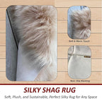 LAMBZY Bear Skin Rug Super Soft Fluffy Faux Fur for Bedroom Floor Sofa Living Room High-Density Plush Shaggy Carpet Sofa Cover Bedside Sheepskin Rug (2'x3', Beige)