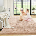 Noahas Fluffy Bedroom Rug,3x5 Feet Plush Fuzzy Beige Area Rugs for Living Room, Non Slip Thick Soft Shaggy Nursery Furry Floor Dorm Kids Carpet