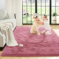Noahas Fluffy 3x5 Blush Rugs for Bedroom Girls,Shaggy Kids Rug,Thick Shag Throw Carpet,Soft Non-Slip Dorm Nursery Area Rugs for Living Room Home Decor Aesthetic