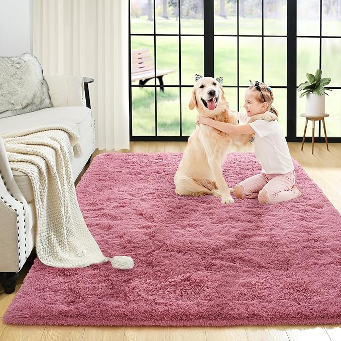Noahas Fluffy 3x5 Blush Rugs for Bedroom Girls,Shaggy Kids Rug,Thick Shag Throw Carpet,Soft Non-Slip Dorm Nursery Area Rugs for Living Room Home Decor Aesthetic