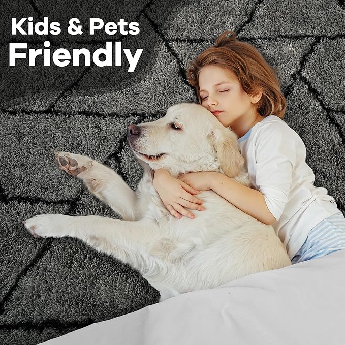 Noahas Fluffy 4x6 Area Rugs for Bedroom Living Room,Plush Dark Grey Thick Shag Throw Floor Carpet,Soft Shaggy Bedside Non-Slip Dorm Nursery Kids Rug