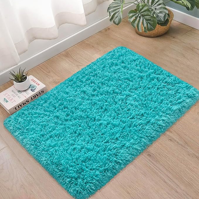 Small Fluffy Rugs for Bedroom 2x3 Teal Blue Shaggy Area Rug Soft Plush Fuzzy Fur Throw Rug for Living Room Dorm Kids Nursery Home Decor Aesthetic Carpets
