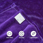 DREAMNINE Super Soft Fuzzy Fleece Throw Blanket for Couch Sofa 50" x 60",Decorative Solid Lightweight Velvet Blanket for Chair, Cozy Accent Shaggy Micro Plush Flannel Blankets for Bedroom Dorm, Purple