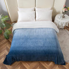 Elegant Comfort Luxury Velvety Feel Blanket, All-Season Lightweight Blanket, Ultra Plush, Soft, Cozy-Fuzzy Flannel Fleece for Couch, Sofa, Bed, Travel, Ombre Design, Twin/Twin XL, Blue