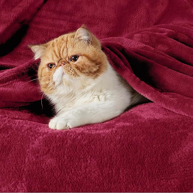 Bedsure GentleSoft Fleece Throw Blanket Red - 300GSM Christmas Blankets for Couch, Sofa, Bed, Soft Lightweight Plush Cozy Throws for Toddlers, 50x60 inches