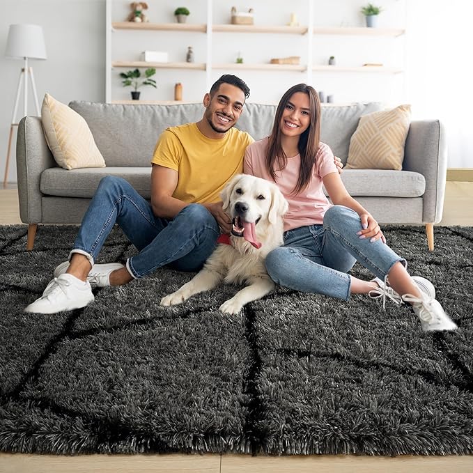 Noahas Large Fluffy 6x9 Area Rugs for Living Room Bedroom,Thick Plush Dark Grey Shag Throw Rug,Big Soft Shaggy Bedside Non-Slip Dorm Nursery Kids Carpet