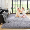 Noahas Fluffy Bedroom Rug,3x5 Feet Plush Fuzzy Grey Area Rugs for Living Room, Non Slip Thick Soft Shaggy Nursery Furry Floor Dorm Kids Carpet