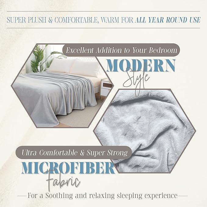 Elegant Comfort Luxury Velvety Feel Blanket, All-Season Lightweight Blanket, Ultra Plush, Soft, Cozy-Fuzzy Flannel Fleece for Couch, Sofa, Bed, Travel, Solid Design, Twin/Twin XL, Silver Gray