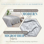 Elegant Comfort Luxury Velvety Feel Blanket, All-Season Lightweight Blanket, Ultra Plush, Soft, Cozy-Fuzzy Flannel Fleece for Couch, Sofa, Bed, Travel, Solid Design, Full/Queen, Silver Gray