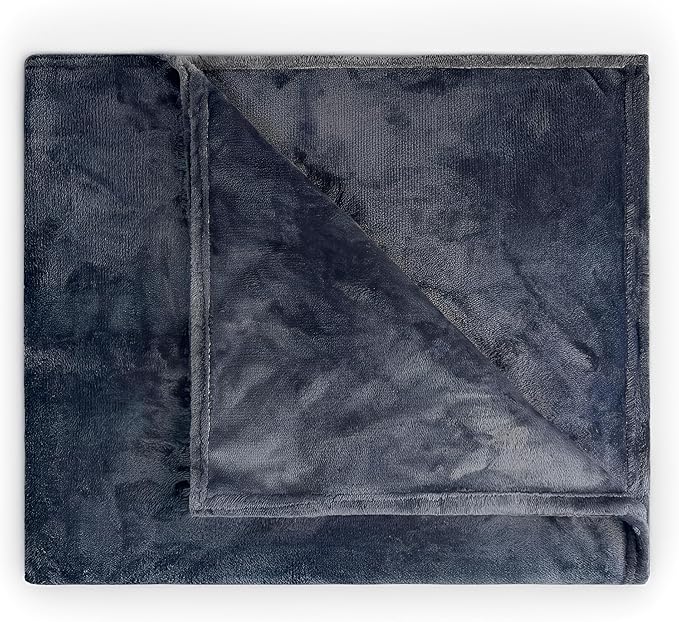 Fleece Blanket Full/Queen - 80x90 Inch Lightweight & Buttery-Soft Throw for Bed, Sofa, Camping | 300GSM Cloud-Touch Microfiber | Cozy Essentials for Travel & Movie Nights, (Alloy)