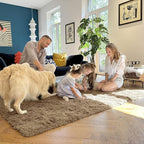 OLANLY 2x4 Machine Washable Runner Rugs for Hallway, Soft Fluffy Shaggy Bedside Rugs for Bedroom, Living Room, Indoor Floor Carpet for Kids Girls and Boys, Home Decor Aesthetic, Taupe