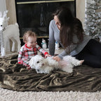 Bedsure GentleSoft Brown Fleece Blankets King Size - Bed Blanket Soft Lightweight Plush Cozy Fuzzy Luxury Microfiber, 108x90 inches