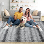 Noahas Fluffy 4x6 Area Rugs for Bedroom Living Room,Fuzzy Shaggy Grey Thick Shag Throw Floor Carpet,Soft Bedside Non-Slip Plush Dorm Nursery Kids Rug