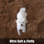 Macgace Fluffy Area Rugs for Bedroom Decor Aesthetic, 4x6 Brown Shag Rug with Non-Slip Dots for Living Room, Furry Plush Mat Washable Fuzzy Carpet Modern Home Decor for Kids Nursery Teens Room