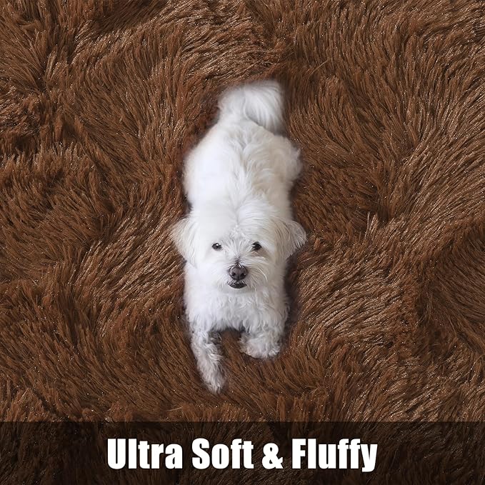 Macgace Fluffy Area Rugs for Bedroom Decor Aesthetic, 4x6 Brown Shag Rug with Non-Slip Dots for Living Room, Furry Plush Mat Washable Fuzzy Carpet Modern Home Decor for Kids Nursery Teens Room