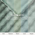 Bedsure GentleSoft Fluffy Fuzzy Sage Green Throw Blanket, Soft Cozy Fleece Faux Fur Blanket for Couch, Spring Green Decor Minky Velvet Bed Cover, Thick Warm Plush Women Men Birthday Gifts