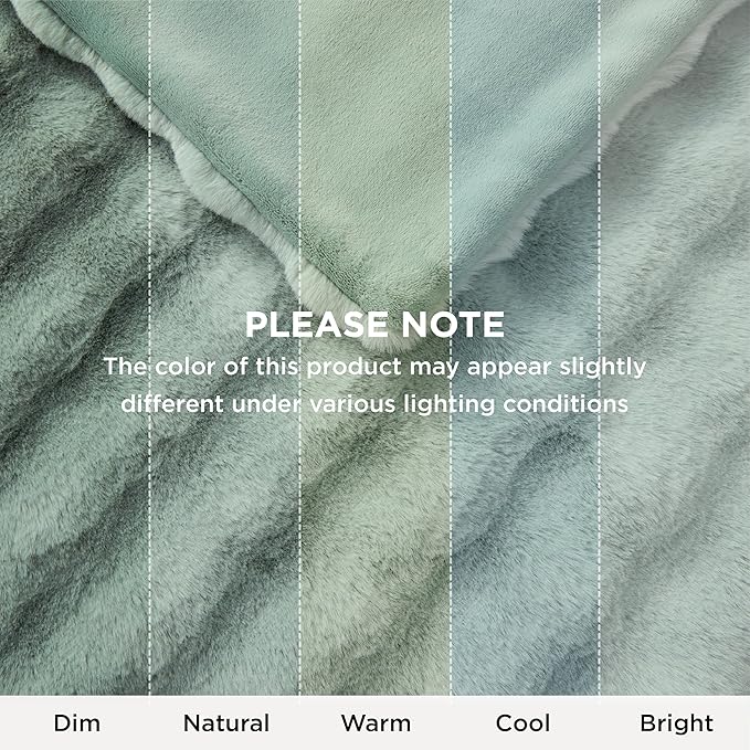 Bedsure GentleSoft Fluffy Fuzzy Twin Blanket, Soft Cozy Fleece Faux Fur Blanket, Pink Decorations Minky Velvet Couch Cover, Thick Warm Plush Women Men Birthday Gifts, 870GSM, Sage Green