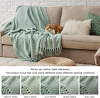 Bedsure Sage Green Throw Blanket for Couch - Versatile Knit Woven Chenille Spring Blanket for Chair, Super Soft, Warm & Decorative Throw with Tassels for Bed, Sofa and Living Room(Sage Green, Throw)