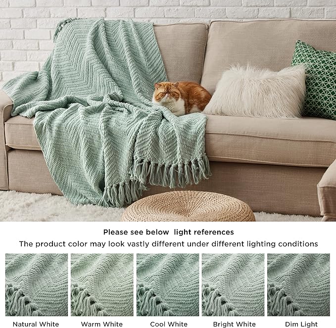 Bedsure Sage Green Throw Blanket for Couch - Versatile Knit Woven Chenille Spring Blanket for Chair, Super Soft, Warm & Decorative Throw with Tassels for Bed, Sofa and Living Room(Sage Green, Throw)